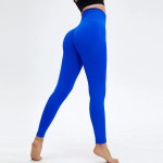 Women Fashion Solid Color High Waist Seamless Yoga Pants